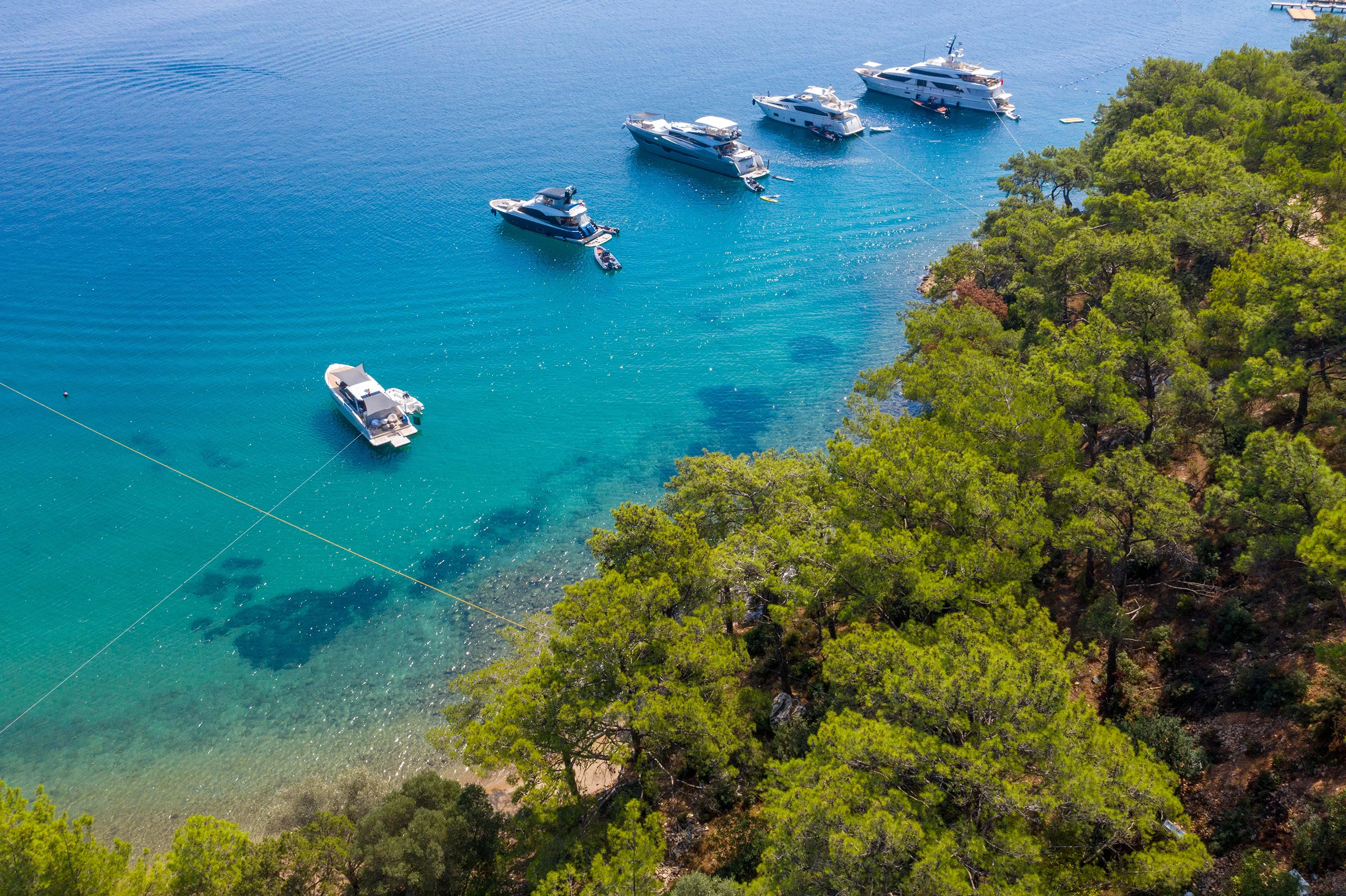 Seba Gölköy Seba Gölköy