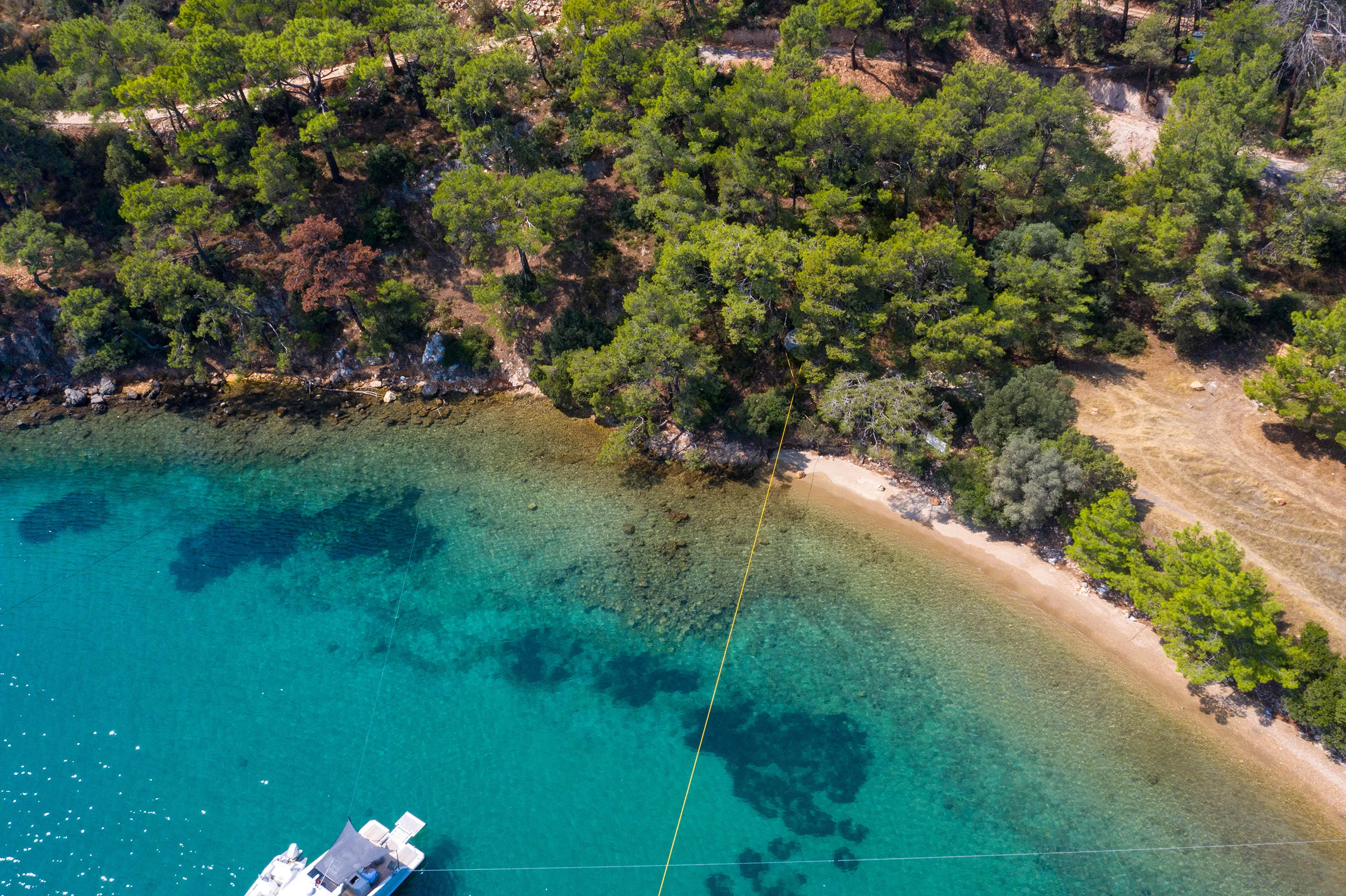 Seba Gölköy Seba Gölköy