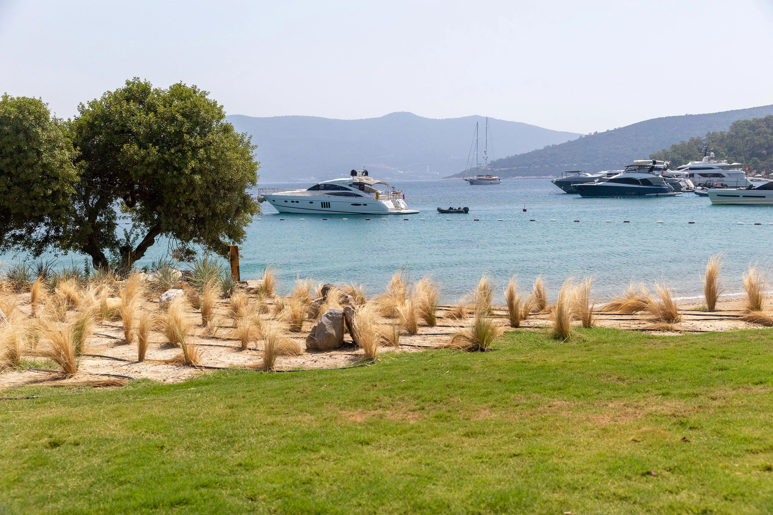 Seba Gölköy Seba Gölköy